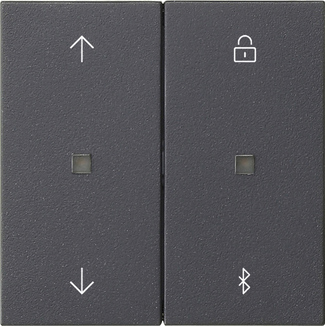 Gira 536728 Jalousie- + Schaltuhr Bluetooth Sys.55 Ant