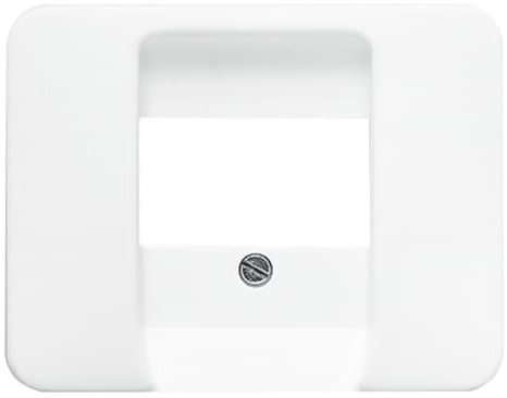 Busch-Jaeger 1766-24G Zentralscheibe stws gl f.UAE/TAE/LS