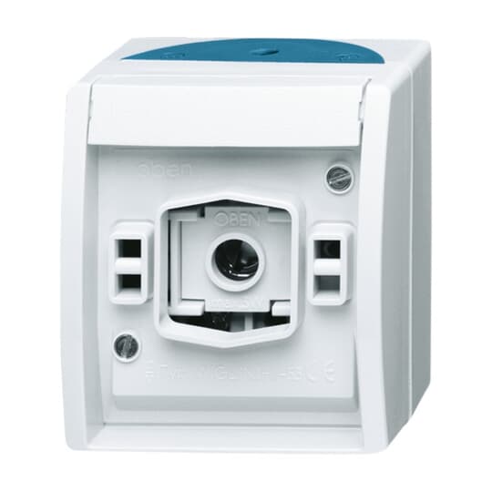 Busch-Jaeger 2661 W-53 Lichtsignal ohne Haube AP