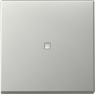 Gira 3290600 Wippe Kontrollf. Edelstahl