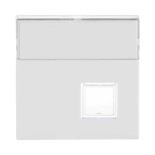 Busch-Jaeger 1571 CN-84 Zentralscheibe sws m.Beschriftungsfeld