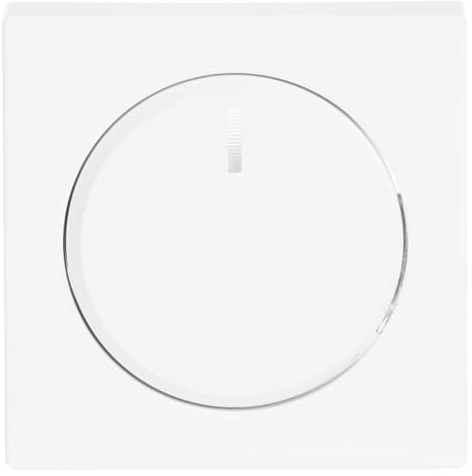 Busch-Jaeger 6540-84-102 Zentralscheibe dav/stws für Drehdimmer