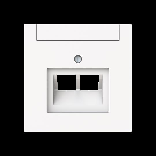 Busch-Jaeger 1803-02-44M Zentralscheibe 2-fach, UAE m. Beschriftungsfeld