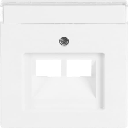 Busch-Jaeger 1803-02-84 Zentralscheibe dav/sws f.UAE-Anschlussdo.2f