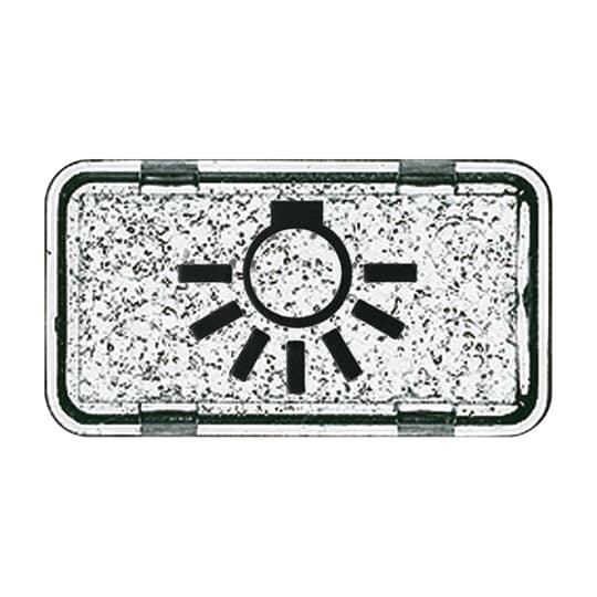 Busch-Jaeger 2622 LI-101 Tastersymbol Licht
