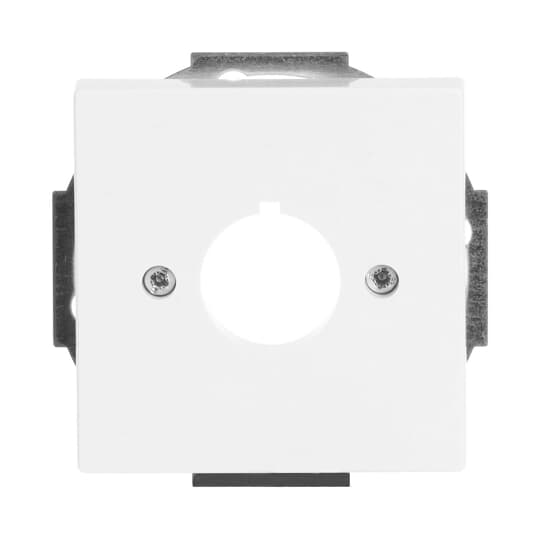 Busch-Jaeger 2533-84 Zentralscheibe dav/sws 22,5mm Befehlsgeräte