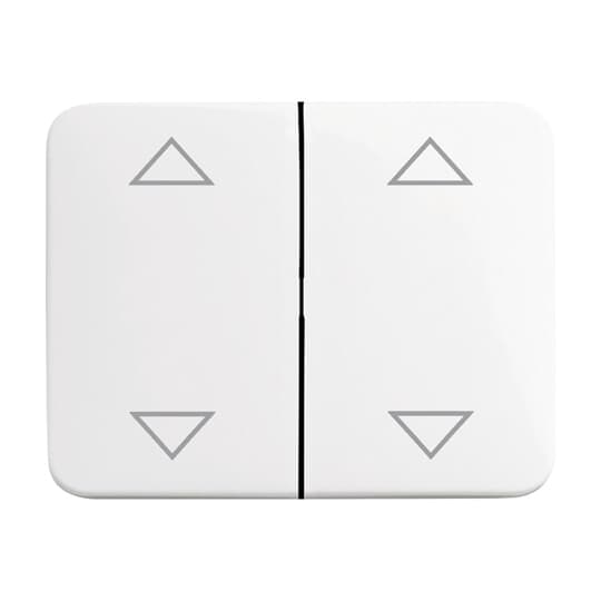 Busch-Jaeger 1785 JA/02-24G Wippe alpha f. Tasterschalter.