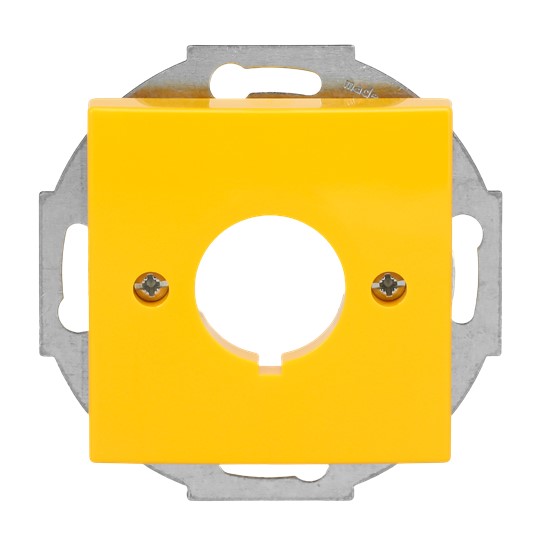Busch-Jaeger 2533-914-15 Zentralscheibe gelb f.Datenkommunikation