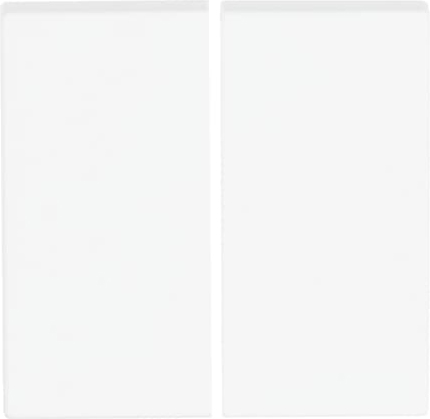 Busch-Jaeger 6736 FoH-884 Wippe studioweiß/mt f.Fernsteuerung