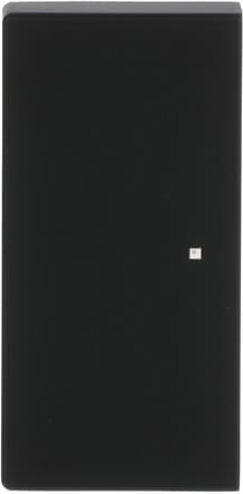 Busch-Jaeger 6230-20-885 Wippe sw mt future linear