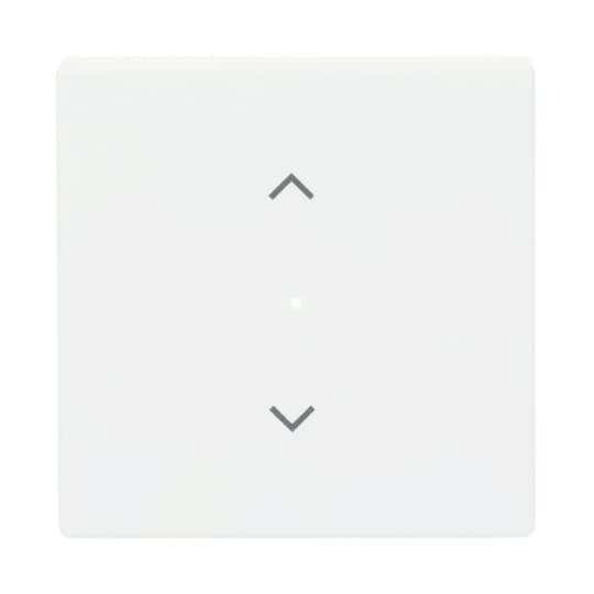 Busch-Jaeger 6232-10-884 Wippe studiows mt future linear