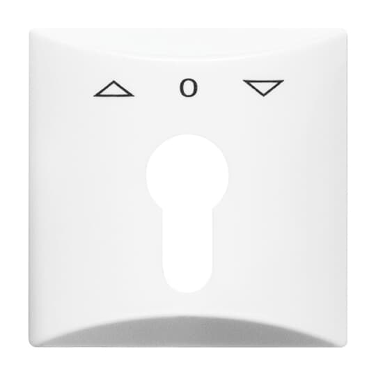 Busch-Jaeger 2155 PZ-34 Zentralscheibe alpinws f.Profilhalbzylinder