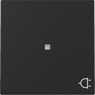 Gira 3291005 Wippe Kontrollf. + Symb. Steckd. Schwarz m
