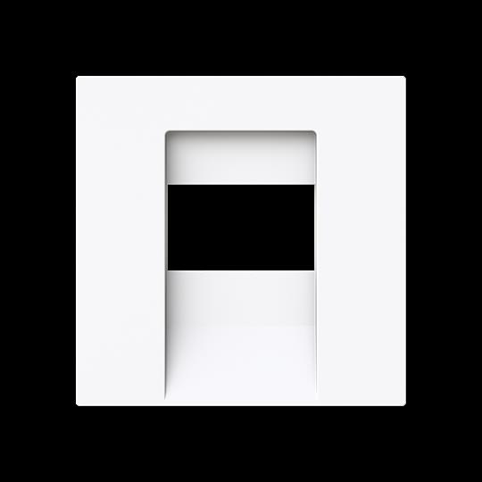 Busch-Jaeger 1766-44G Zentralscheibe