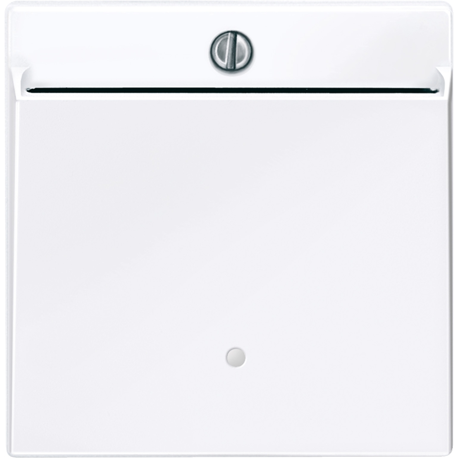 Merten 315625 Card-Schalter aws/gl beleuchtbar