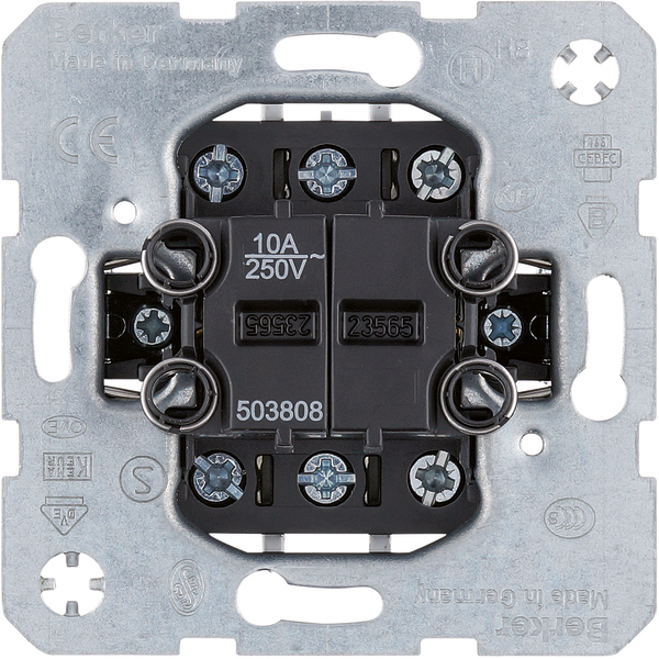 Berker 503808 Wipp-Taster 10A 250V