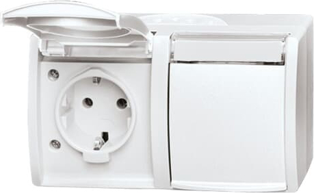 Busch-Jaeger 20/2 EWN-54 Steckdose 2fach waagerecht