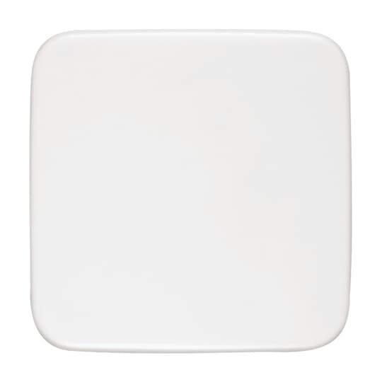 Busch-Jaeger 1576 C-214 Blindzentralscheibe aws 54x54mm