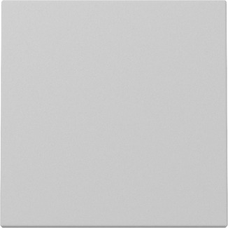 Gira 3296015 Wippe Grau m