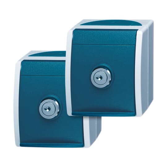 Busch-Jaeger 20/20 EWSL-53 Schuko-Steckdose 2xAP 2 gleiche Schlösser