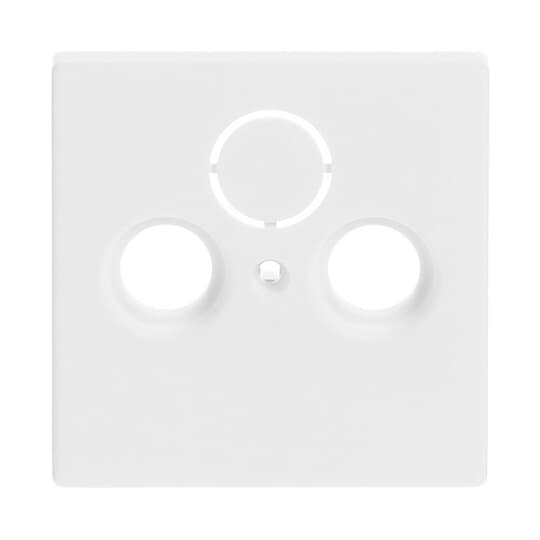 Busch-Jaeger 1743-884 Zentralscheibe stws mt f.Antennendose 2Loch