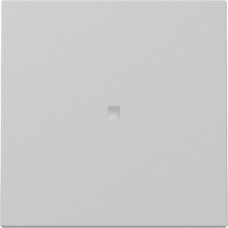 Gira 3290015 Wippe Kontrollf. Grau m