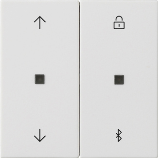 Gira 536727 Jalousie- + Schaltuhr Bluetooth Sys.55 rwm