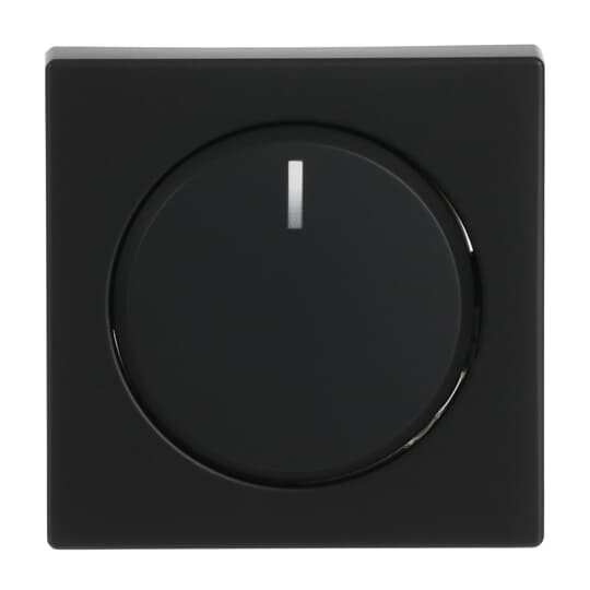 Busch-Jaeger 6540-885-102 Zentralscheibe sw mt für Drehdimmer