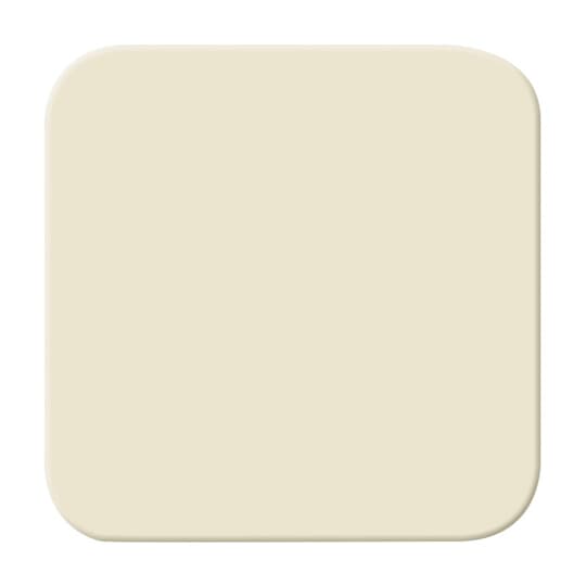 Busch-Jaeger 2506 O-212 Wippe ws Wipptaster 42V