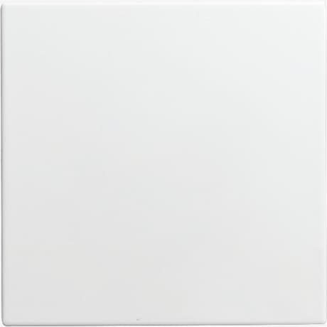 Busch-Jaeger 1576 C-914 Blindzentralscheibe alpinweiß