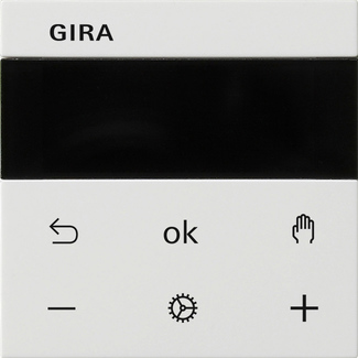 Gira 539303 RTR Display rws