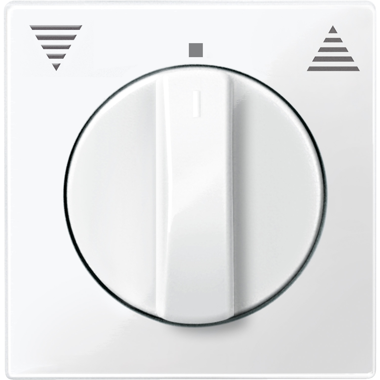 Merten 567119 Zentralplatte pws/gl f. Roll.-Einsatz