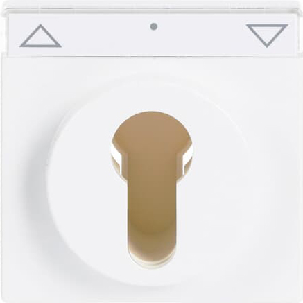 Busch-Jaeger 1755 SL/PZ-84-101 Zentralscheibe dav/sws f.Schlüsselschalter