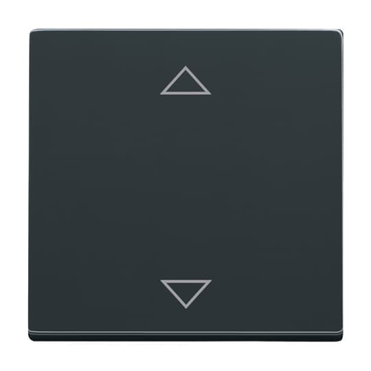 Busch-Jaeger 6430-81-102 Bedienelement