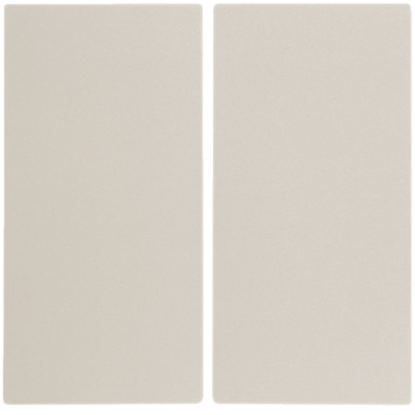 Berker 16238982 Wippe ws/gl 2-fach