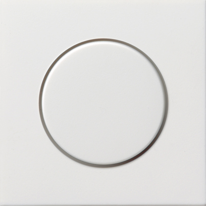 Gira 0650112 Dimmer-Abdeckung rws-gl