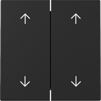 Gira 3297005 Wippe 2f Pfeile Schwarz m