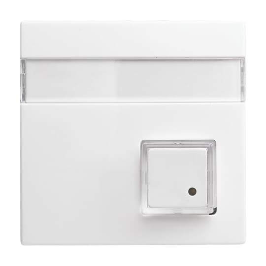 Busch-Jaeger 1571 CN-914 Zentralscheibe alpinws