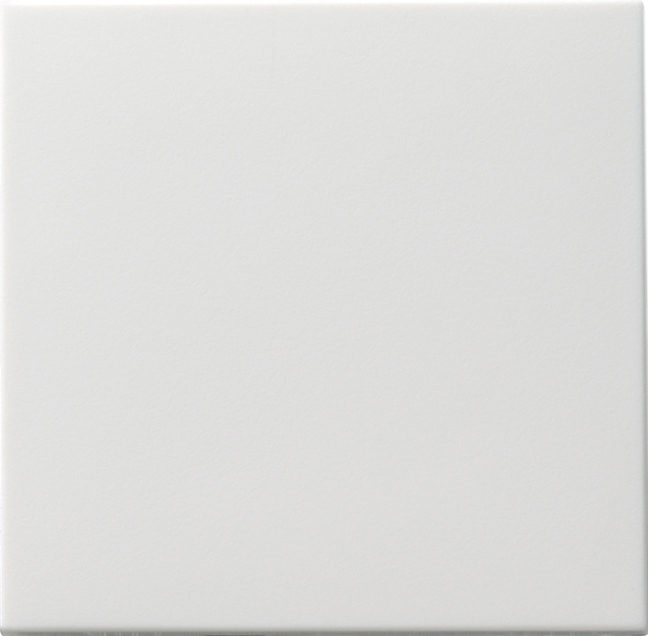 Gira 091603 Wippe rws f. Tastschalter