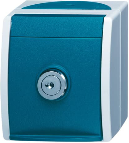 Busch-Jaeger 20 EWSL-53 Schuko-Steckdose abschliessbar