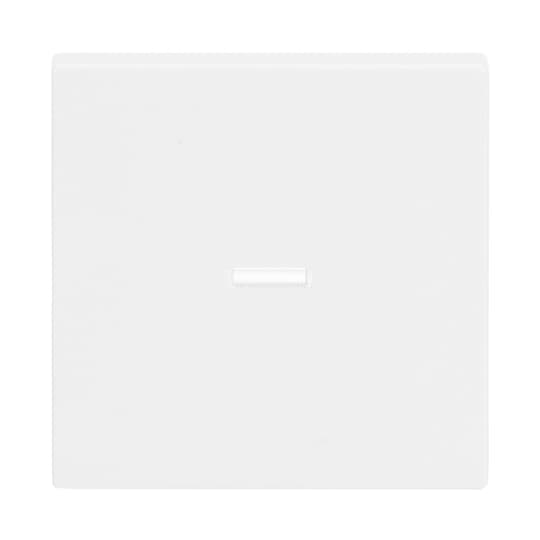 Busch-Jaeger 1789 N-84 Wippe studioweiß