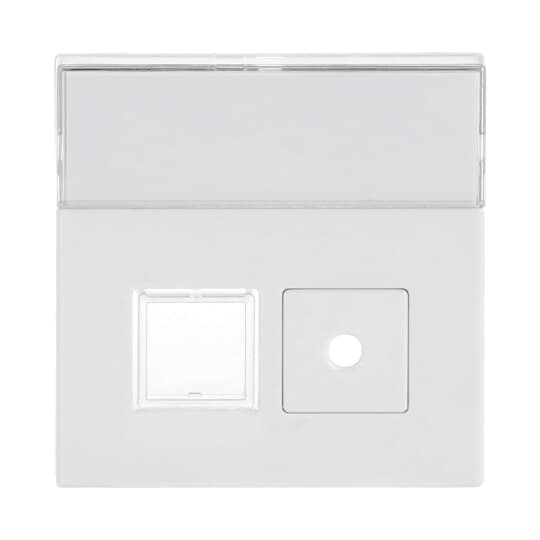 Busch-Jaeger 1572 CN-84 Zentralscheibe sws m.Beschriftungsfeld