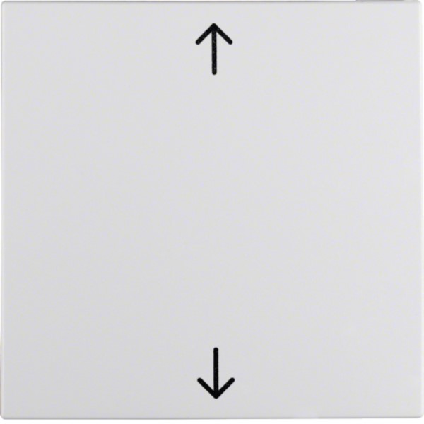 Berker 16201919 Wippe pws Symbol Pfeil