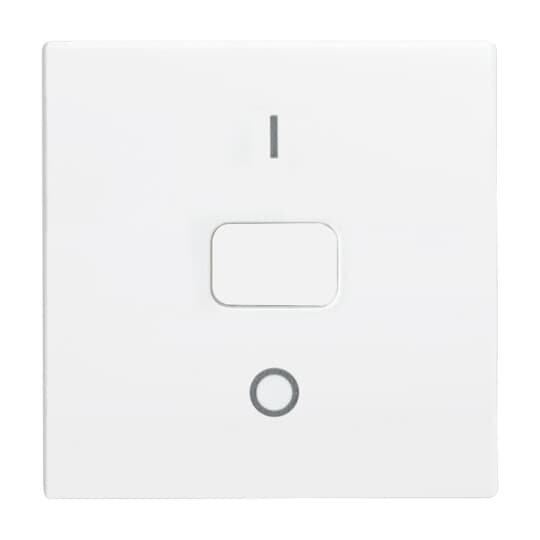 Busch-Jaeger 2502-914 Wippe Symbolalpinweiß