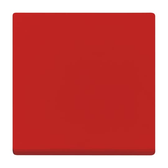 Busch-Jaeger 2506-917 Wippe rt Busch-balance SI