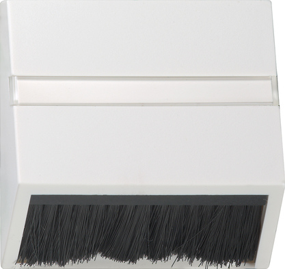 Gira 068203 Zentralplatte rws-gl mit Steckhaube