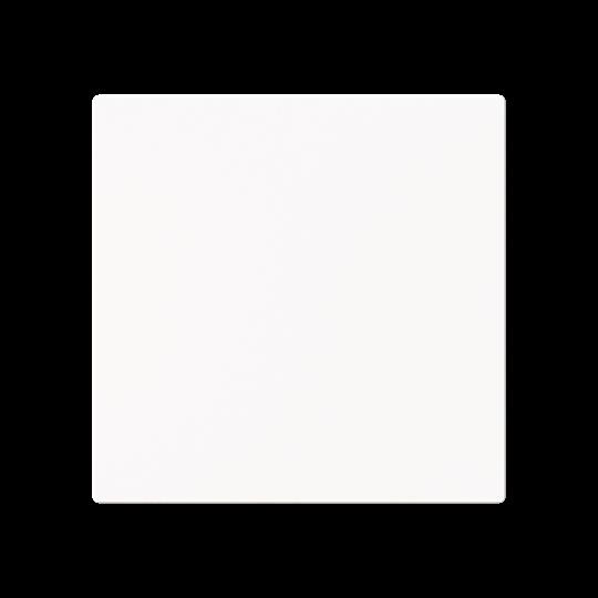 Busch-Jaeger 1786-44M Wippe geschlossen glanzflächig