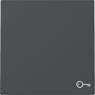 Gira 328728 Wippe Symb. Tür Anthrazit