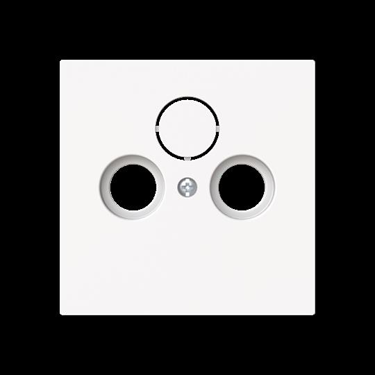 Busch-Jaeger 1743-44M Zentralscheibe Steckdose 2/3-fach