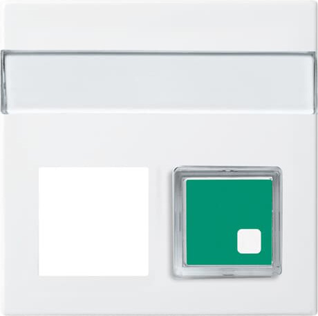 Busch-Jaeger 1572 CN-914 Zentralscheibe alpinws